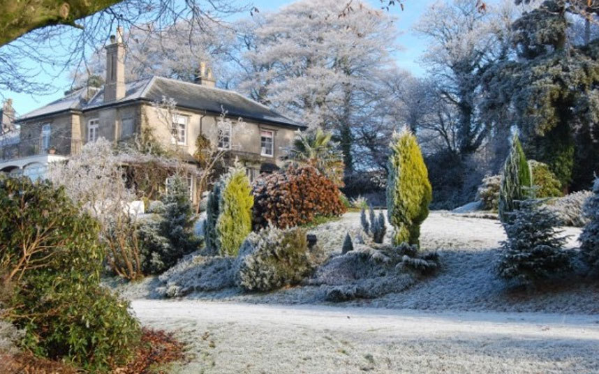 Design_Contract_Best Hotels_to_spend_your_Christmas_Season_Image17